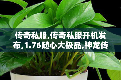 传奇私服,传奇私服开机发布,1.76随心大极品,神龙传奇,1.76随心大极品