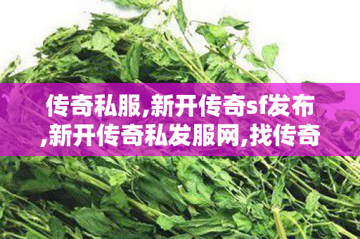传奇私服,新开传奇sf发布,新开传奇私发服网,找传奇世界私服网站,新开传奇私发服网