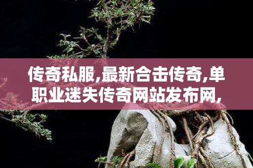 传奇私服,最新合击传奇,单职业迷失传奇网站发布网,65535传奇私服,单职业迷失传奇网站发布网