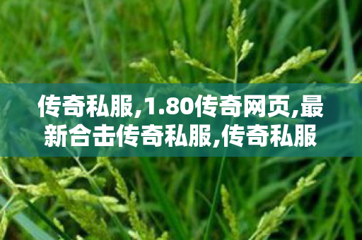 传奇私服,1.80传奇网页,最新合击传奇私服,传奇私服中变,最新合击传奇私服