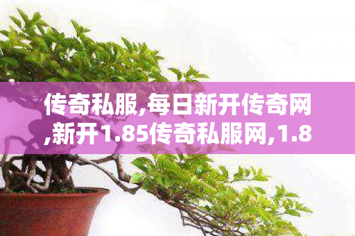 传奇私服,每日新开传奇网,新开1.85传奇私服网,1.85传奇似发服网,新开1.85传奇私服网