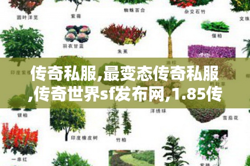 传奇私服,最变态传奇私服,传奇世界sf发布网,1.85传奇私服网,传奇世界sf发布网