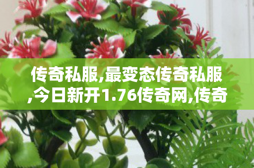 传奇私服,最变态传奇私服,今日新开1.76传奇网,传奇私服网站大全,今日新开1.76传奇网