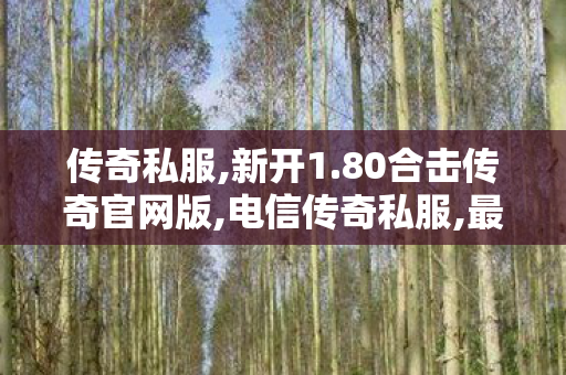 传奇私服,新开1.80合击传奇官网版,电信传奇私服,最大传奇私服发布网,电信传奇私服