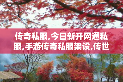 传奇私服,今日新开网通私服,手游传奇私服架设,传世sf发布网,手游传奇私服架设