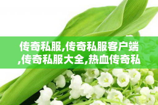 传奇私服,传奇私服客户端,传奇私服大全,热血传奇私服发布网站,传奇私服大全