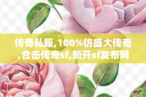 传奇私服,100%仿盛大传奇,合击传奇sf,新开sf发布网,合击传奇sf