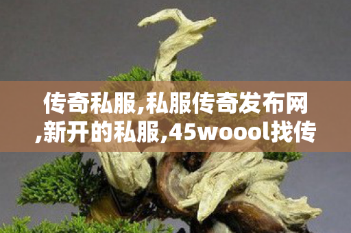 传奇私服,私服传奇发布网,新开的私服,45woool找传世sf,新开的私服