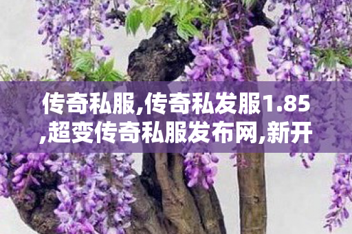 传奇私服,传奇私发服1.85,超变传奇私服发布网,新开传世私服,超变传奇私服发布网