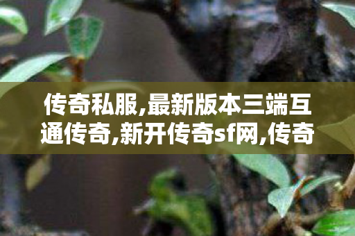 传奇私服,最新版本三端互通传奇,新开传奇sf网,传奇世界私服网站,新开传奇sf网