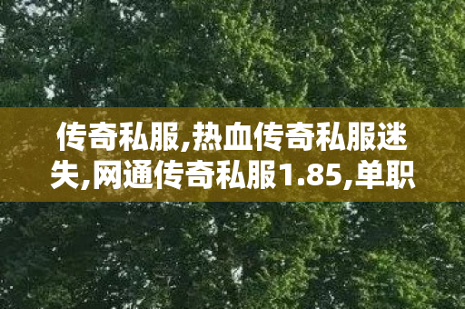 传奇私服,热血传奇私服迷失,网通传奇私服1.85,单职业传奇私服,网通传奇私服1.85