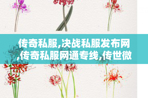 传奇私服,决战私服发布网,传奇私服网通专线,传世微变私服,传奇私服网通专线