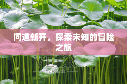 问道新开，探索未知的冒险之旅
