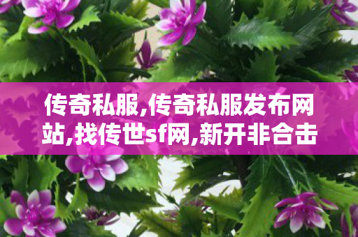 传奇私服,传奇私服发布网站,找传世sf网,新开非合击传奇,找传世sf网
