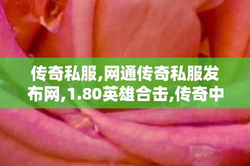 传奇私服,网通传奇私服发布网,1.80英雄合击,传奇中变,1.80英雄合击