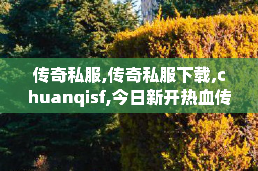 传奇私服,传奇私服下载,chuanqisf,今日新开热血传奇,chuanqisf