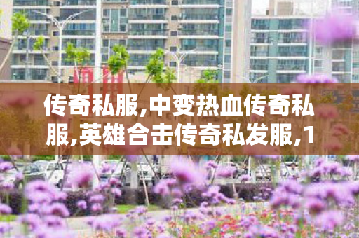 传奇私服,中变热血传奇私服,英雄合击传奇私发服,1.76复古传奇发布,英雄合击传奇私发服