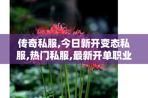传奇私服,今日新开变态私服,热门私服,最新开单职业,热门私服