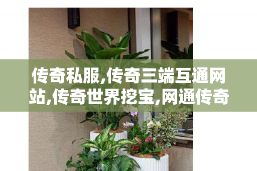 传奇私服,传奇三端互通网站,传奇世界挖宝,网通传奇私服发布网,传奇世界挖宝