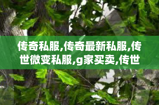 传奇私服,传奇最新私服,传世微变私服,g家买卖,传世微变私服