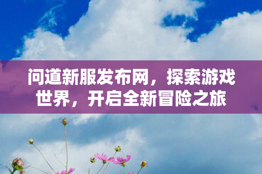 问道新服发布网，探索游戏世界，开启全新冒险之旅