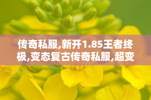 传奇私服,新开1.85王者终极,变态复古传奇私服,超变私服传奇,变态复古传奇私服