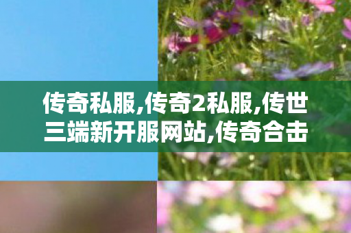 传奇私服,传奇2私服,传世三端新开服网站,传奇合击私服发布网,传世三端新开服网站