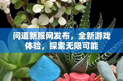 问道新服网发布，全新游戏体验，探索无限可能