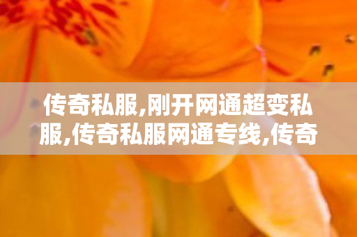 传奇私服,刚开网通超变私服,传奇私服网通专线,传奇1.76私服,传奇私服网通专线