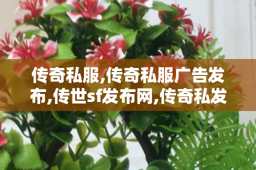 传奇私服,传奇私服广告发布,传世sf发布网,传奇私发服1.85,传世sf发布网