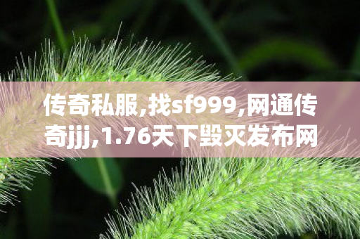 传奇私服,找sf999,网通传奇jjj,1.76天下毁灭发布网,网通传奇jjj