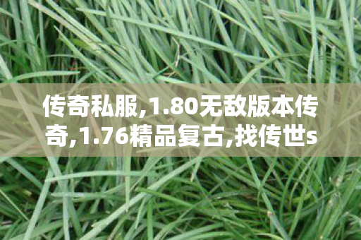 传奇私服,1.80无敌版本传奇,1.76精品复古,找传世sf网站,1.76精品复古