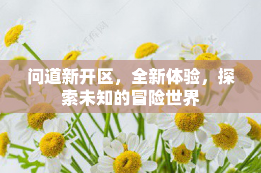问道新开区，全新体验，探索未知的冒险世界
