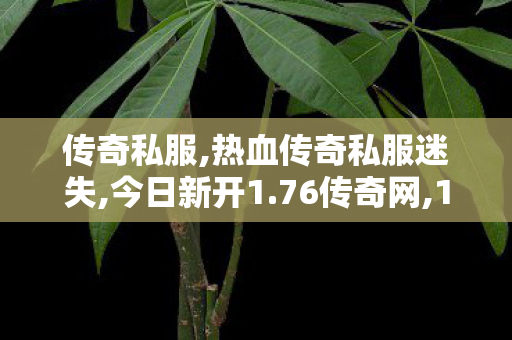 传奇私服,热血传奇私服迷失,今日新开1.76传奇网,1.80无敌版本传奇,今日新开1.76传奇网