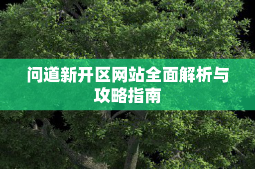问道新开区网站全面解析与攻略指南