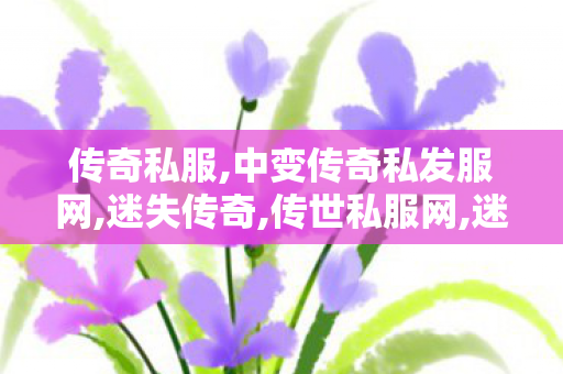 传奇私服,中变传奇私发服网,迷失传奇,传世私服网,迷失传奇