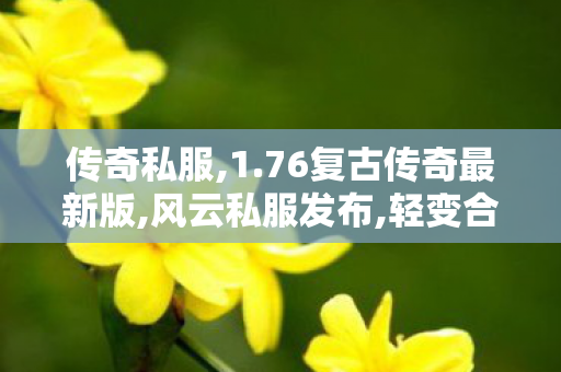 传奇私服,1.76复古传奇最新版,风云私服发布,轻变合击传奇私服,风云私服发布