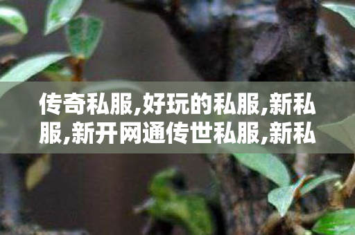 传奇私服,好玩的私服,新私服,新开网通传世私服,新私服