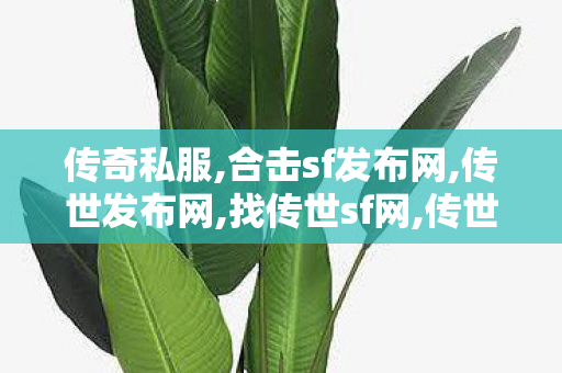 传奇私服,合击sf发布网,传世发布网,找传世sf网,传世发布网