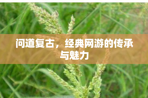 问道复古，经典网游的传承与魅力