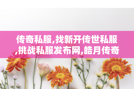 传奇私服,找新开传世私服,挑战私服发布网,皓月传奇1.85,挑战私服发布网