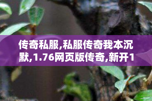 传奇私服,私服传奇我本沉默,1.76网页版传奇,新开1.76极品传奇手游,1.76网页版传奇