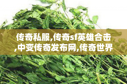 传奇私服,传奇sf英雄合击,中变传奇发布网,传奇世界变态私服,中变传奇发布网