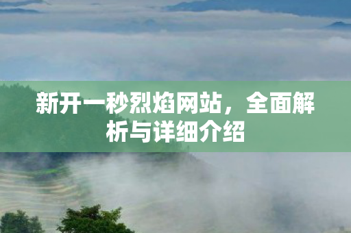 新开一秒烈焰网站，全面解析与详细介绍