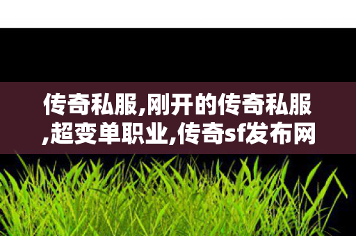 传奇私服,刚开的传奇私服,超变单职业,传奇sf发布网,超变单职业