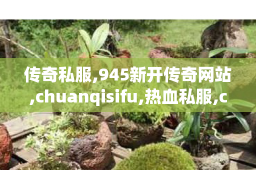 传奇私服,945新开传奇网站,chuanqisifu,热血私服,chuanqisifu