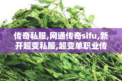 传奇私服,网通传奇sifu,新开超变私服,超变单职业传奇手游,新开超变私服
