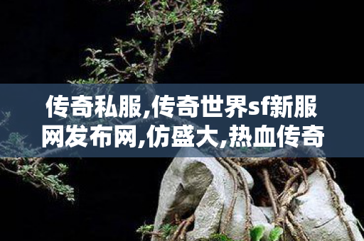 传奇私服,传奇世界sf新服网发布网,仿盛大,热血传奇sf1.85,仿盛大