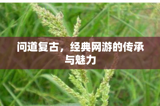 问道复古，经典网游的传承与魅力