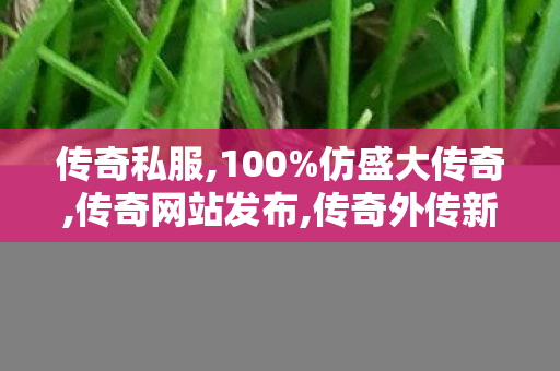 传奇私服,100%仿盛大传奇,传奇网站发布,传奇外传新开私服,传奇网站发布